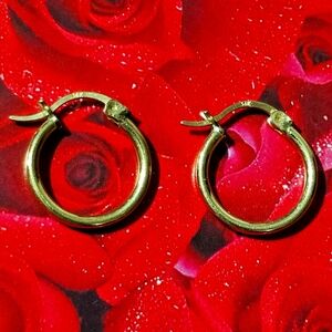 Elegant Gold Hoop Earrings